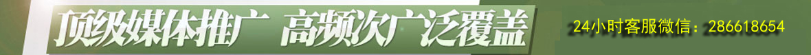 资讯底部广告